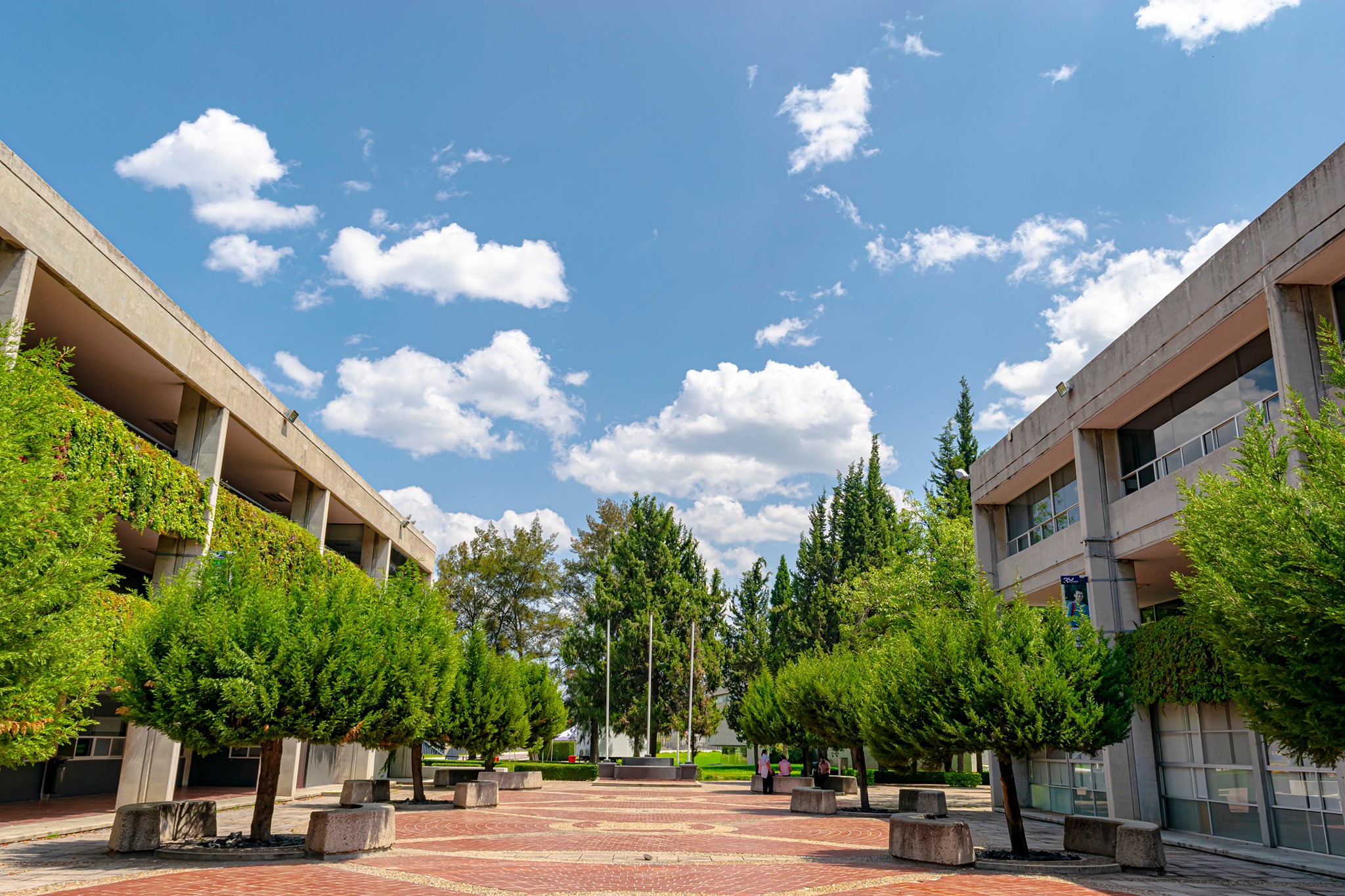 CAMPUS-AGS